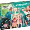 Clementoni L'ANATOMIE - LE CORPS HUMAIN -Jouet Soldes 3253e84b4d0f711542e10a304f2b6ce4940f9f78 41053722